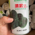250克装半直大黑圆叶耐寒菠菜种叶片厚实高抗霜霉病品质好