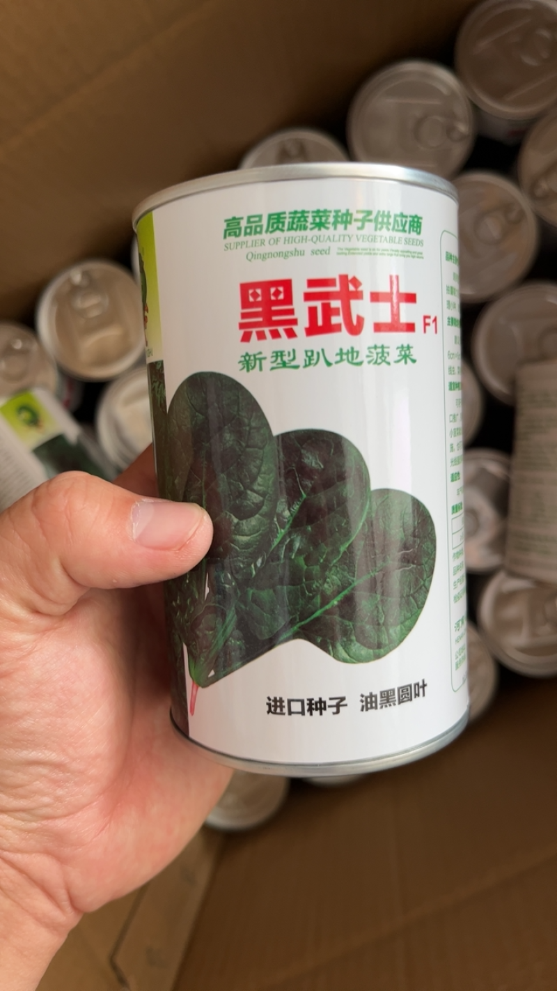 250克装半直大黑圆叶耐寒菠菜种叶片厚实高抗霜霉病品质好
