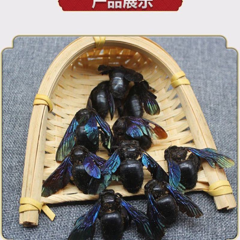 中药材批零售竹蜂乌竹蜂诚信经营量大价优货真价实