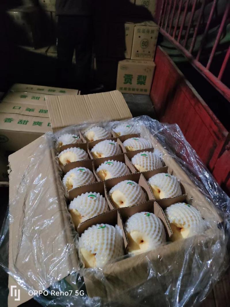 常年代收各种梨子，可根据客户需求进行包装，分拣