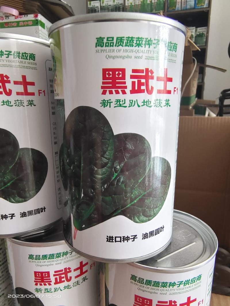 耐热趴地菠菜种子油亮圆叶抗性强250克500克