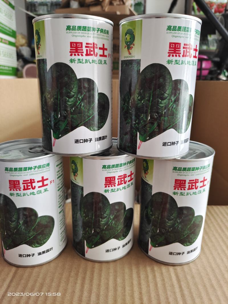 耐热趴地菠菜种子油亮圆叶抗性强250克500克