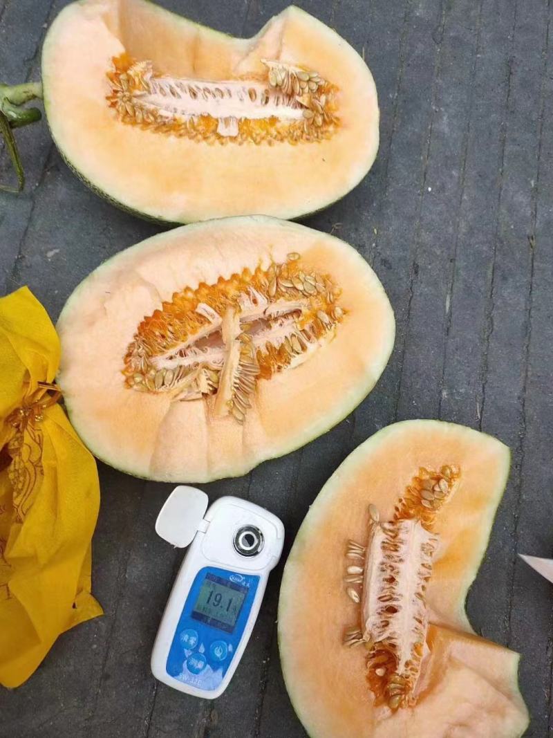 哈密瓜