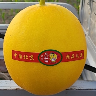 久红瑞