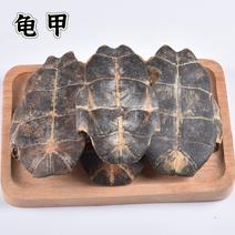 中药材批发现货汉龟甲乌龟壳血龟甲龟板产地直销
