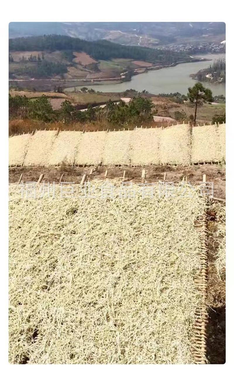 出口品质萝卜丝批发去皮去皮好货