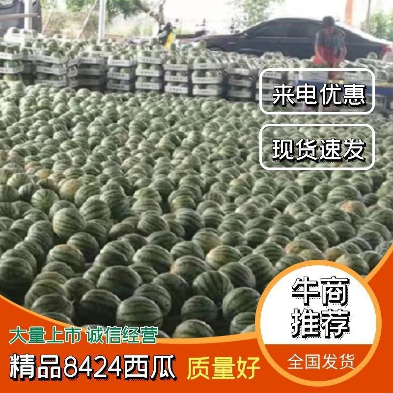 菏泽西瓜8424西瓜美都西瓜大量上市规格齐全
