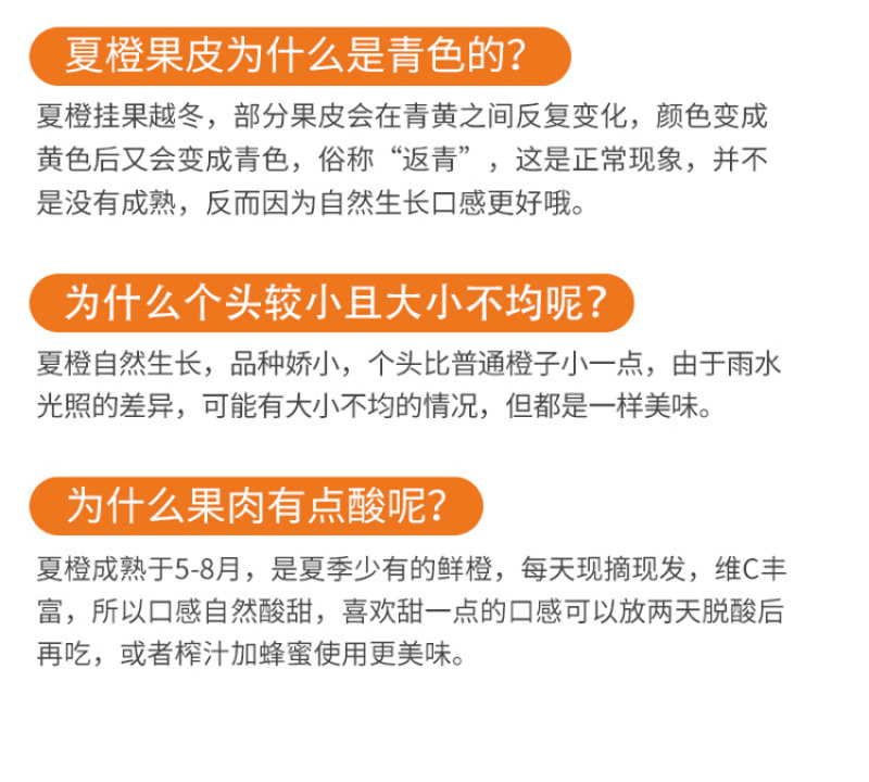 湖北夏橙代发3/5/9斤当季水果新鲜酸甜榨汁水果一件代发