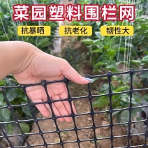 10年用不坏家用菜园栅栏专用塑料围栏网抗晒抗老化结实耐用