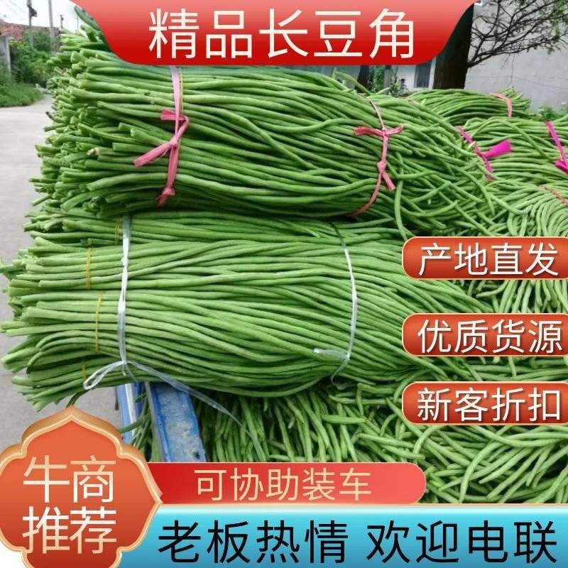 【好货推荐】湖北荆门精品长豆角保质保量产地直供上市中
