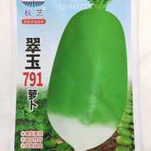 【500g】翠玉791萝卜种子俏丽萝卜种子绿皮绿肉