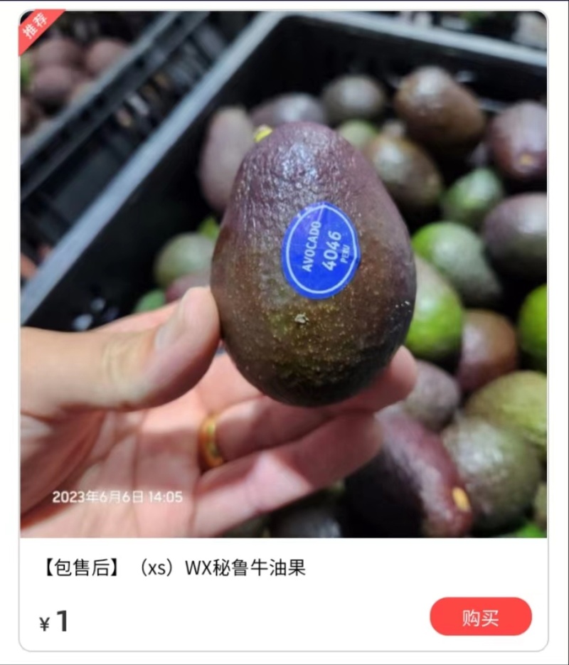 秘鲁牛油果小果