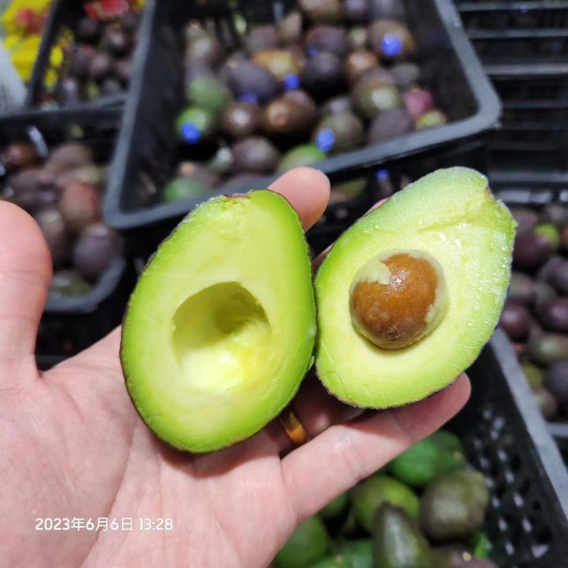 秘鲁牛油果小果