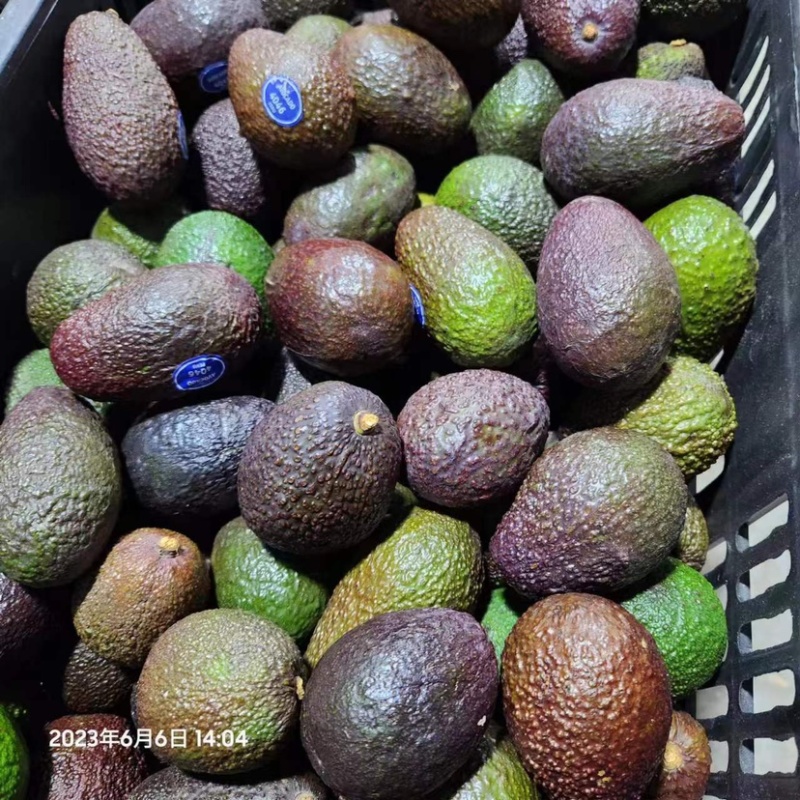 秘鲁牛油果小果