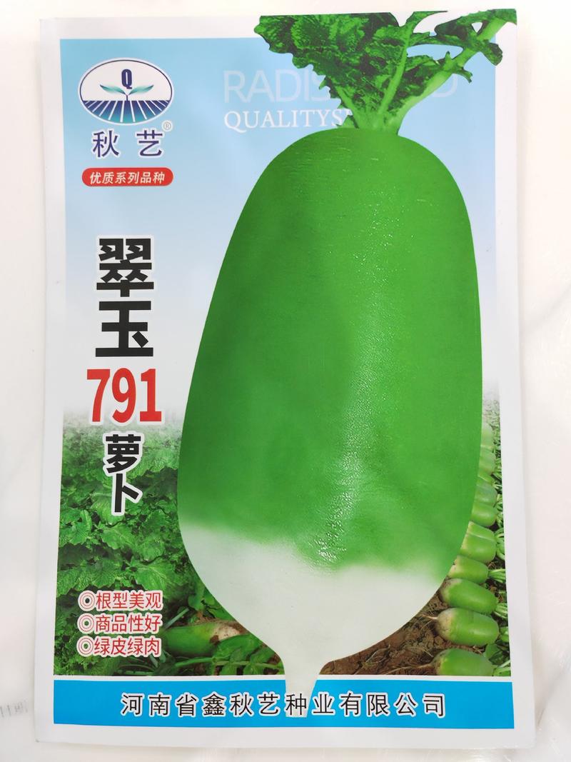 翠玉791萝卜种子俏丽萝卜种子绿皮绿肉50g