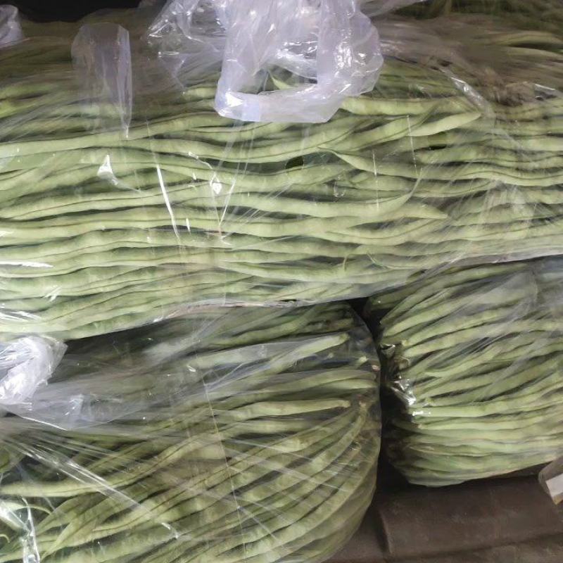 精品豆王大量上市