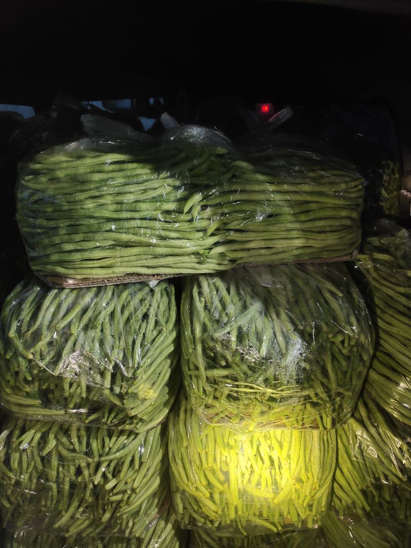 精品豆王大量上市
