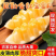 【精品】甘肃民勤金红宝（黄金蜜精品）全国批发量大从优！