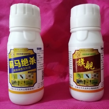 抗性蓟马专用药虫卵通杀草莓黄瓜豆角辣椒通用助剂杀虫杀蓟马
