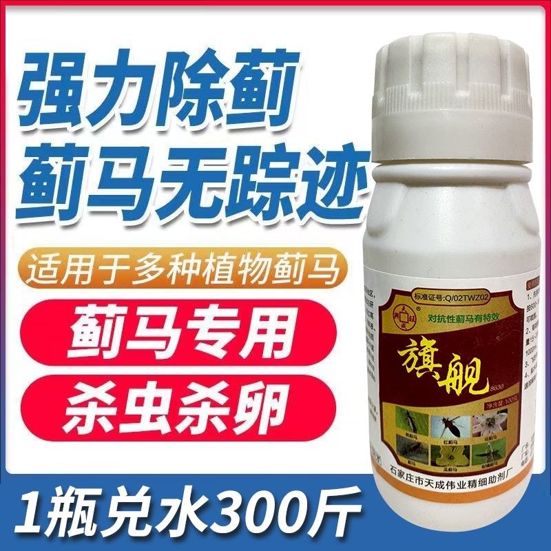 抗性蓟马专用药虫卵通杀草莓黄瓜豆角辣椒通用助剂杀虫杀蓟马