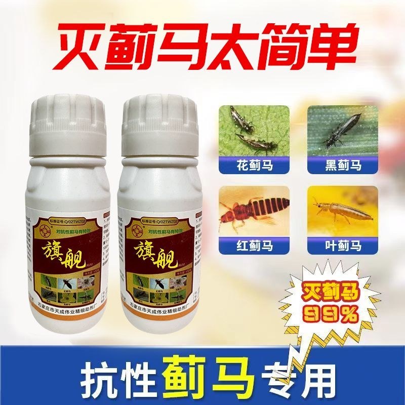 抗性蓟马专用药虫卵通杀草莓黄瓜豆角辣椒通用助剂杀虫杀蓟马