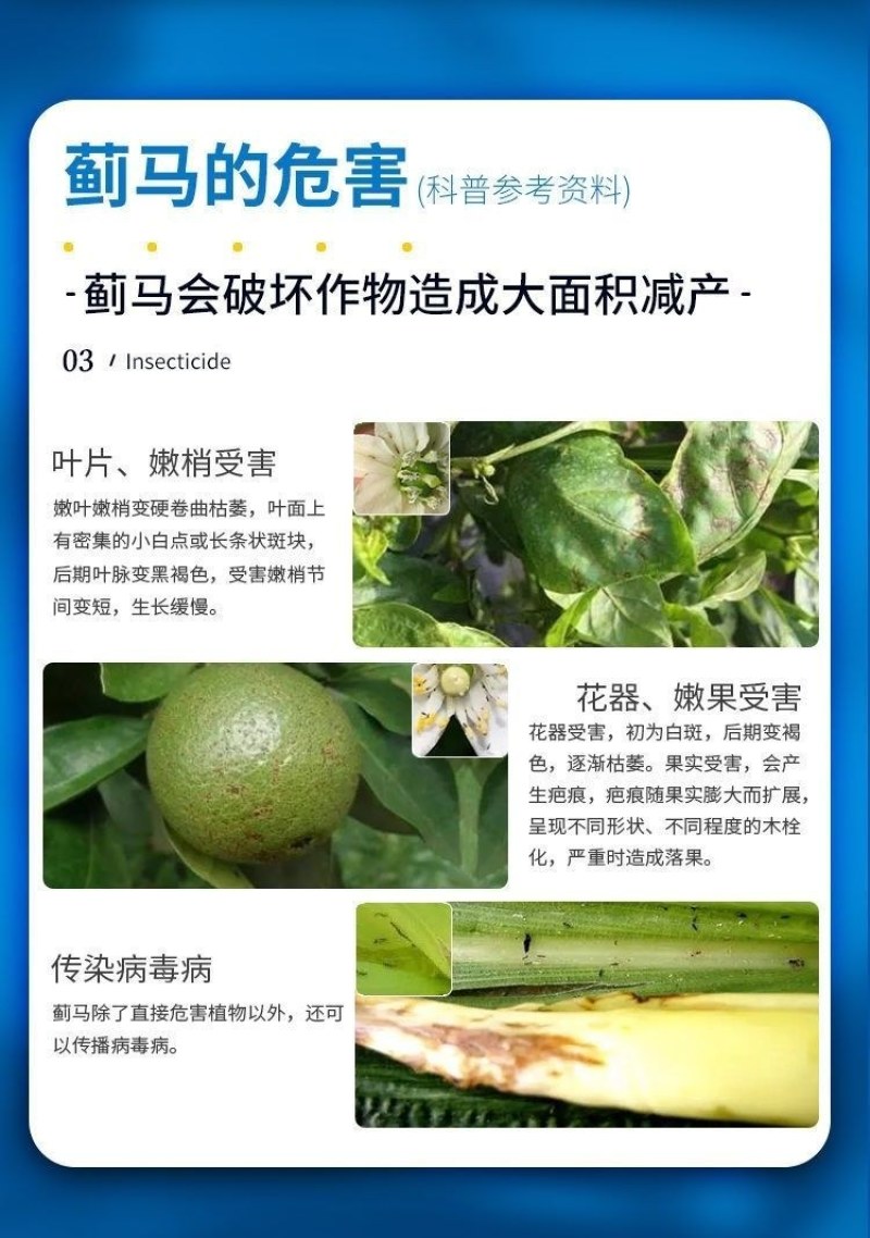 抗性蓟马专用药虫卵通杀草莓黄瓜豆角辣椒通用助剂杀虫杀蓟马