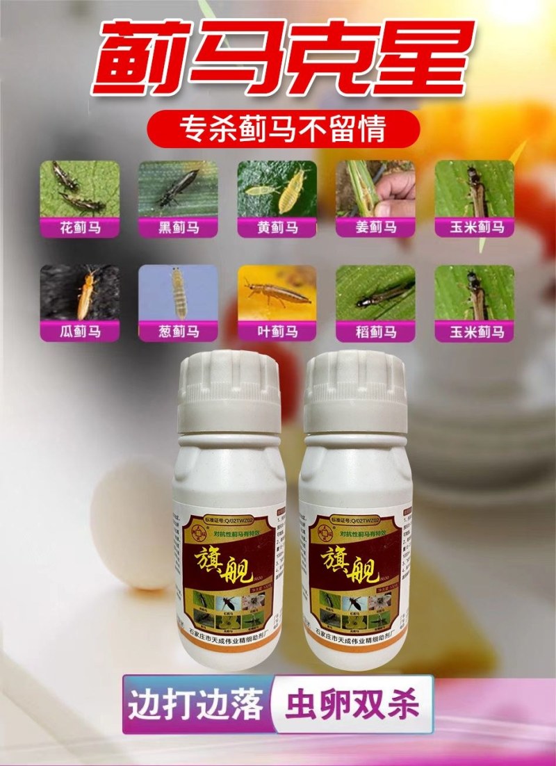 抗性蓟马专用药虫卵通杀草莓黄瓜豆角辣椒通用助剂杀虫杀蓟马