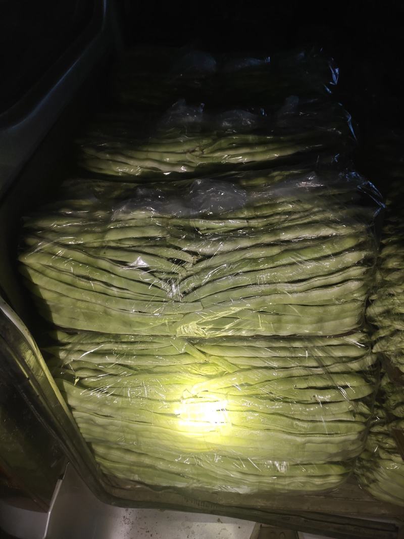 精品白豆大量上市