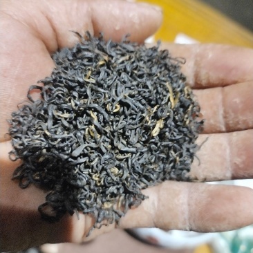 祁门红茶