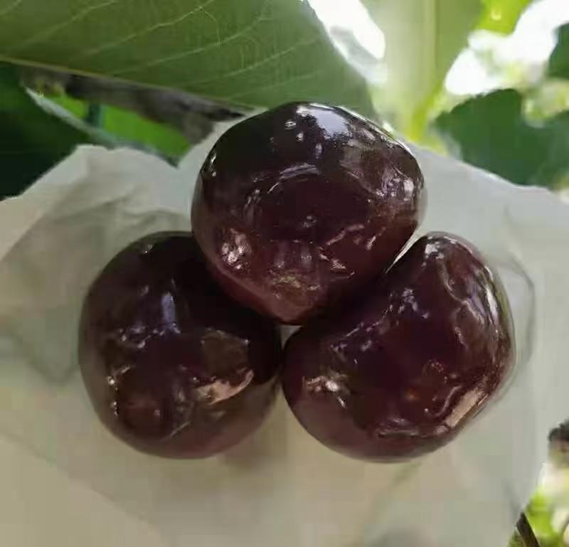 车厘子不同颜色对比图