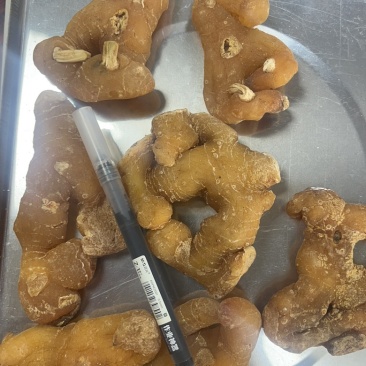 黄精个