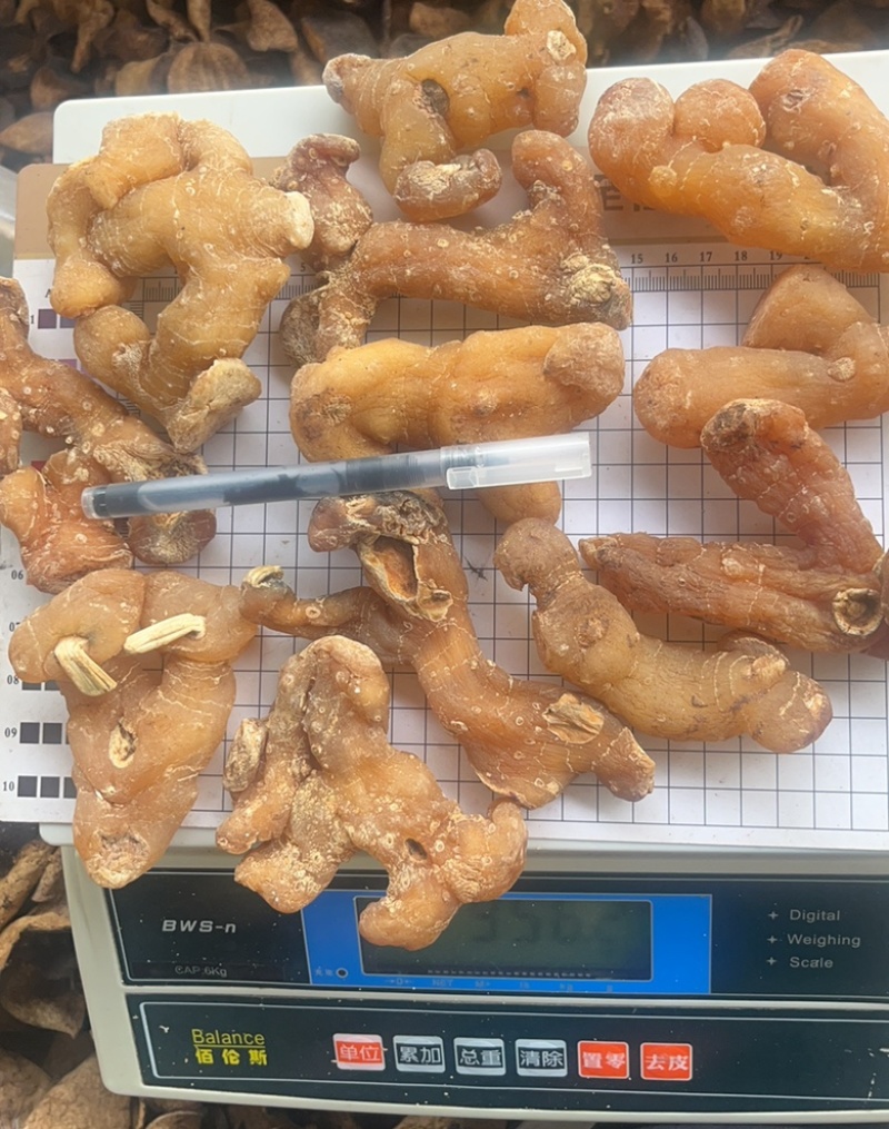 黄精个