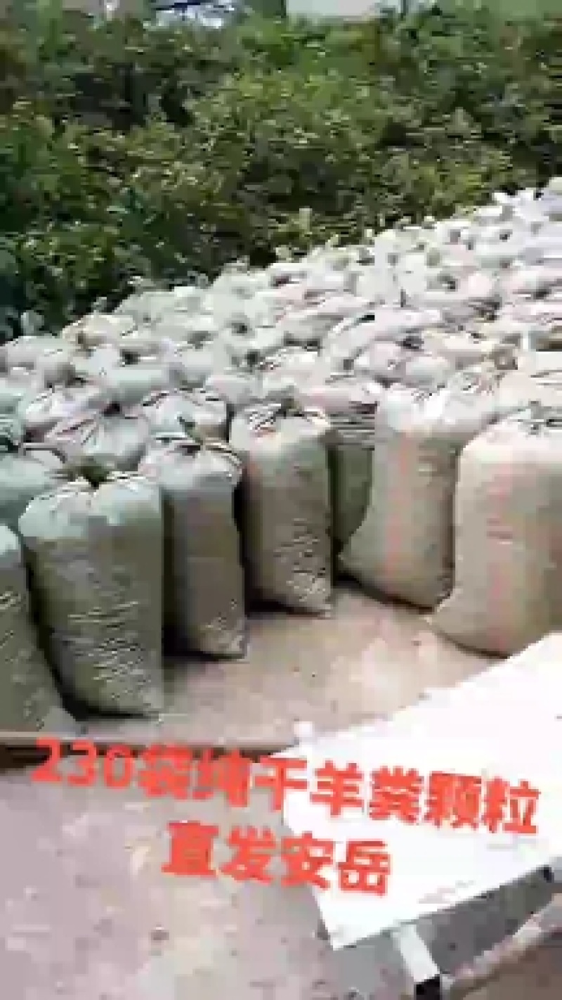 发醇羊粪纯羊粪干羊粪颗粒状！要买速快！四川资阳
