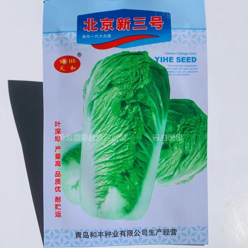 北京新三号白菜种子叶色深绿高产稳产秋状元80大白菜种子