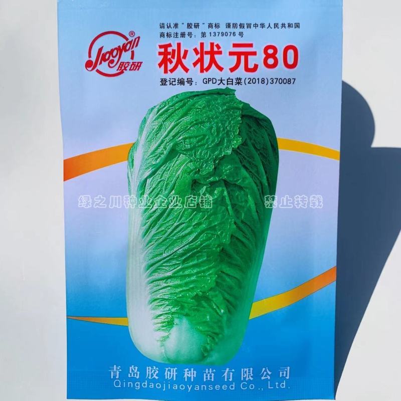 北京新三号白菜种子叶色深绿高产稳产秋状元80大白菜种子