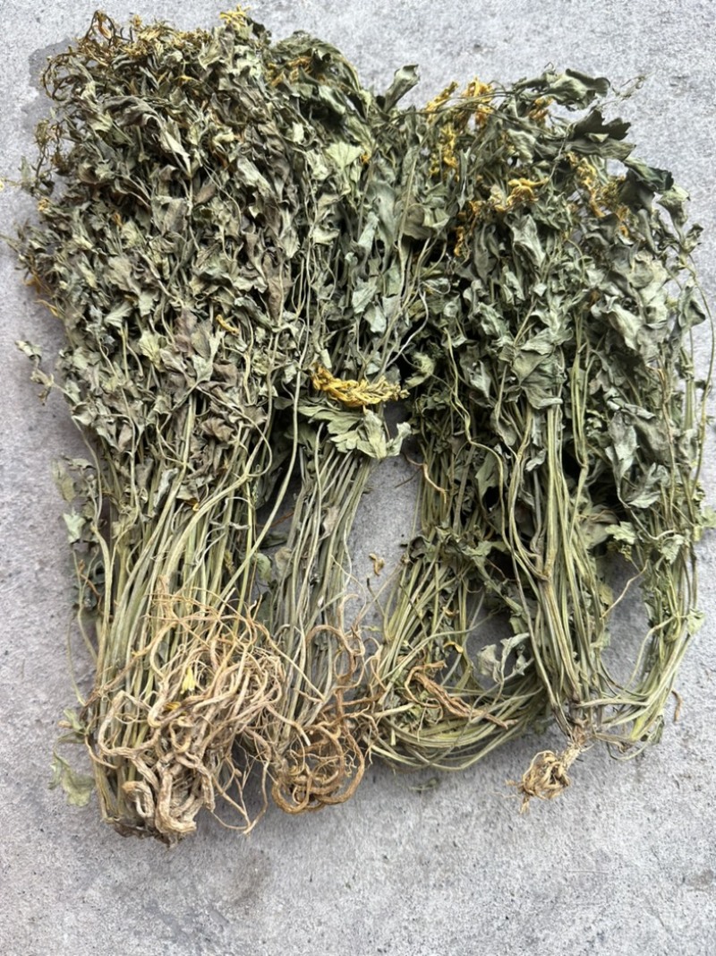 岩黄莲批发广西岩黄连中药材干货岩上莲菊花岩连中草药