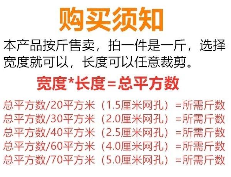 全新尼龙防鸟网果园果树防护网鱼塘稻谷防鸟网
