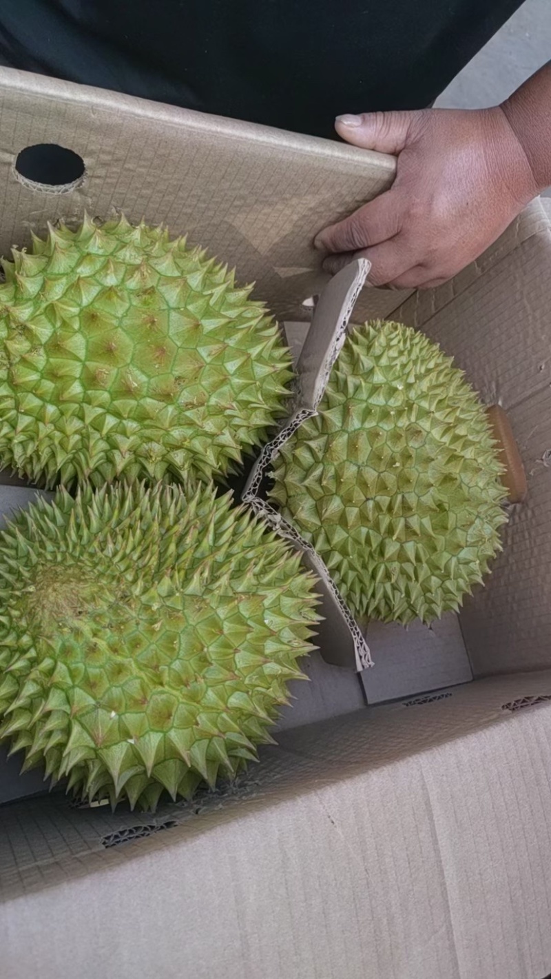 干荛榴莲黄肉干包A果最低4-5房