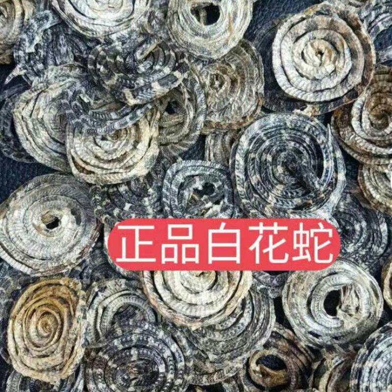 十大广药有！粤八味却消失的金钱白花蛇