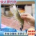 罗氏虾苗淡水养殖食用大头虾苗活体长臂虾台湾一代快大