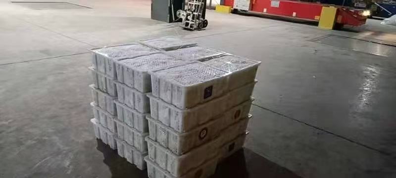 农场供应波姬红无花果空运全国几小时到货产地云南四川广东