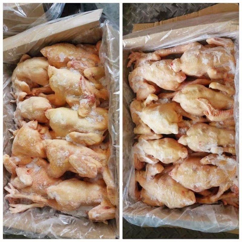 生鲜冷冻三黄鸡童子鸡白条鸡直腿鸡7-10只装