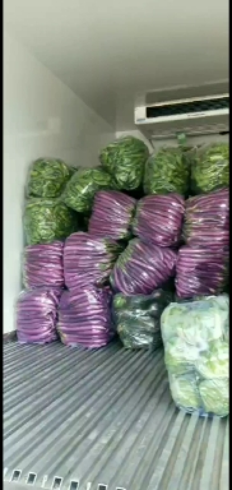 新苗尖椒，各种辣椒，各种蔬菜茄子，代发全国