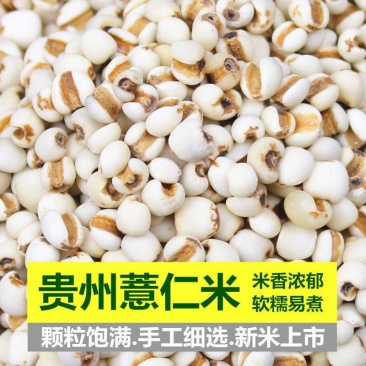 薏仁米薏米仁新货贵州大薏仁米可搭配谷杂粮粗粮油