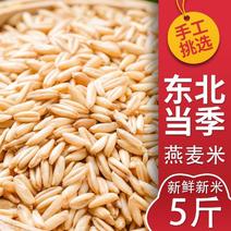 新货燕麦米批发5斤东北农家自产燕麦仁燕麦雀麦粒燕麦粒燕麦