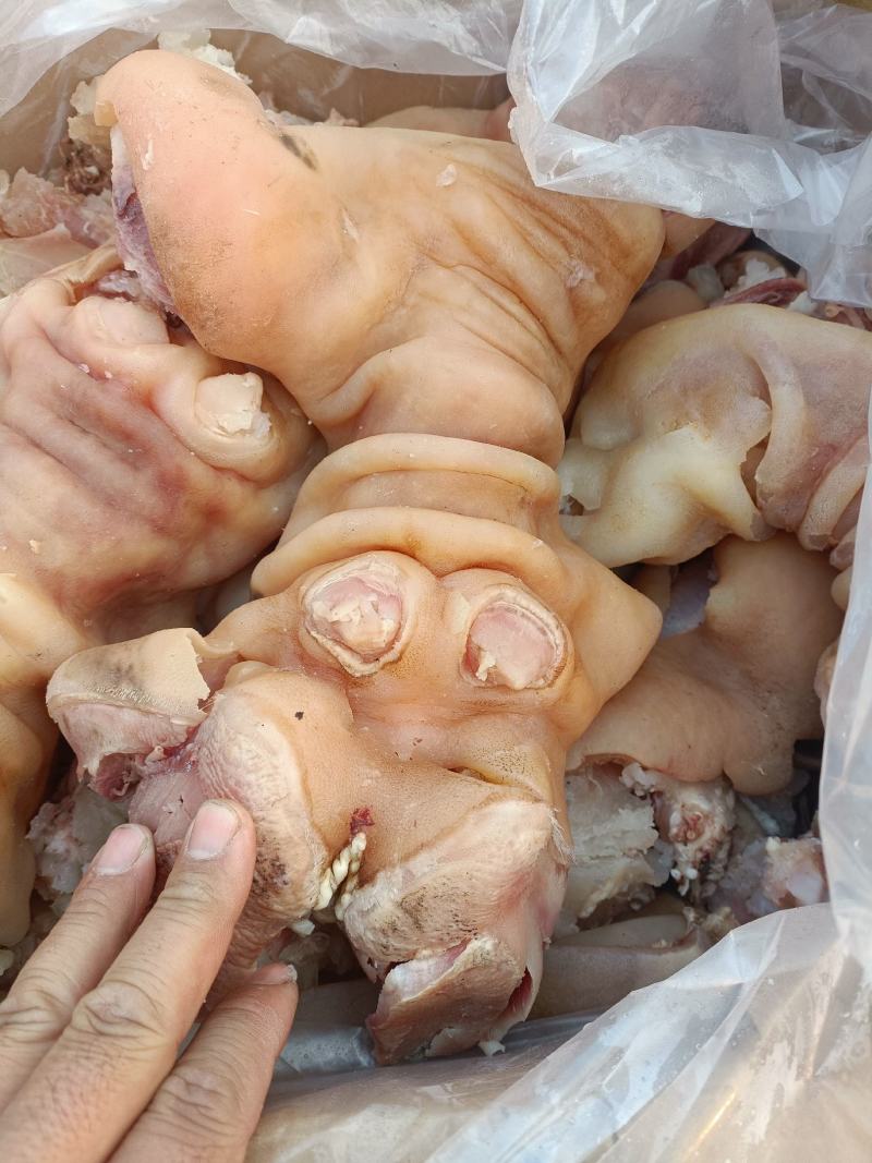熟牛蹄筋，全熟全去骨，每天煮鲜货，质量好，可定做加工