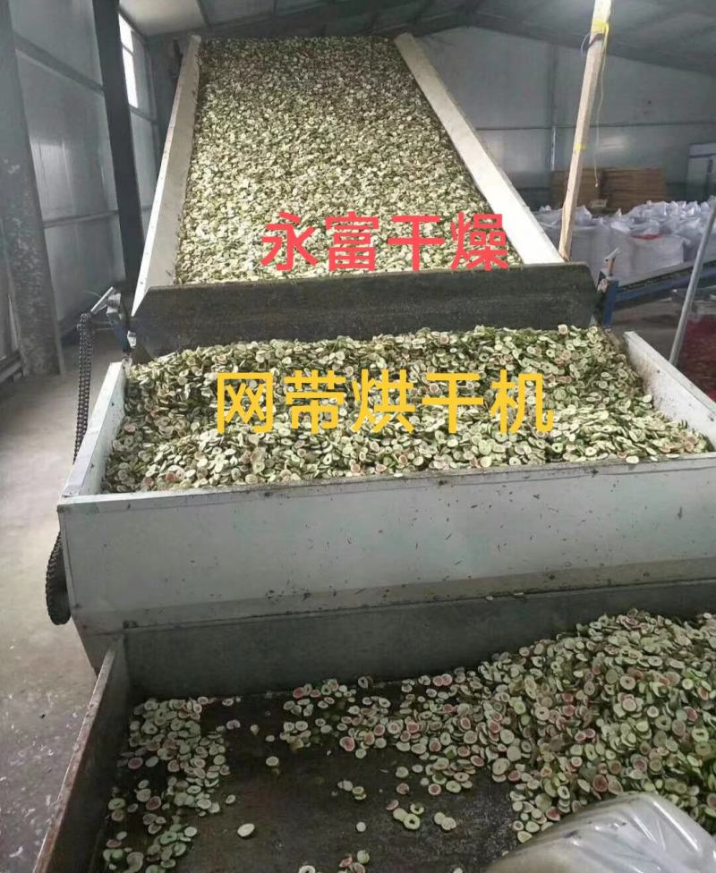 网带链条烘干机，多层网带烘干机，带式干燥机