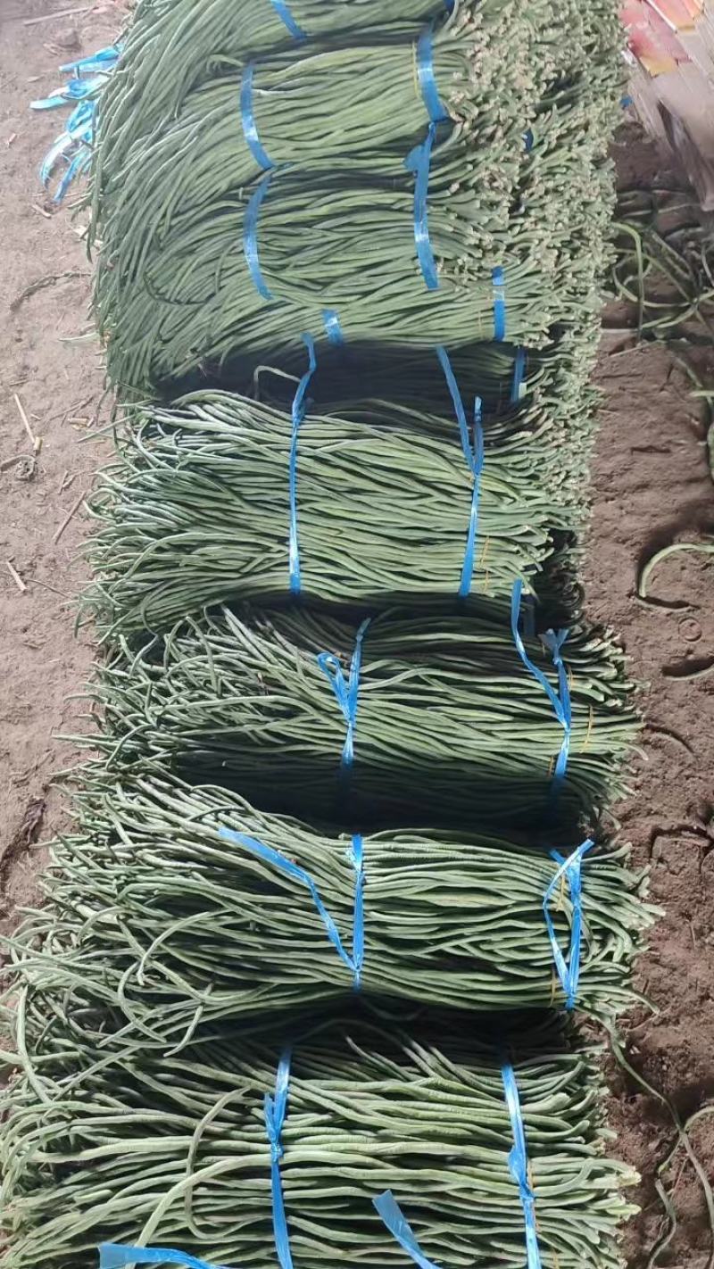 豆角，青条精品新鲜豆角，一手货源，代发全国各地，诚信合作
