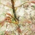 香椿芽现货香椿芽嫩芽新鲜乡村野菜春天的味道