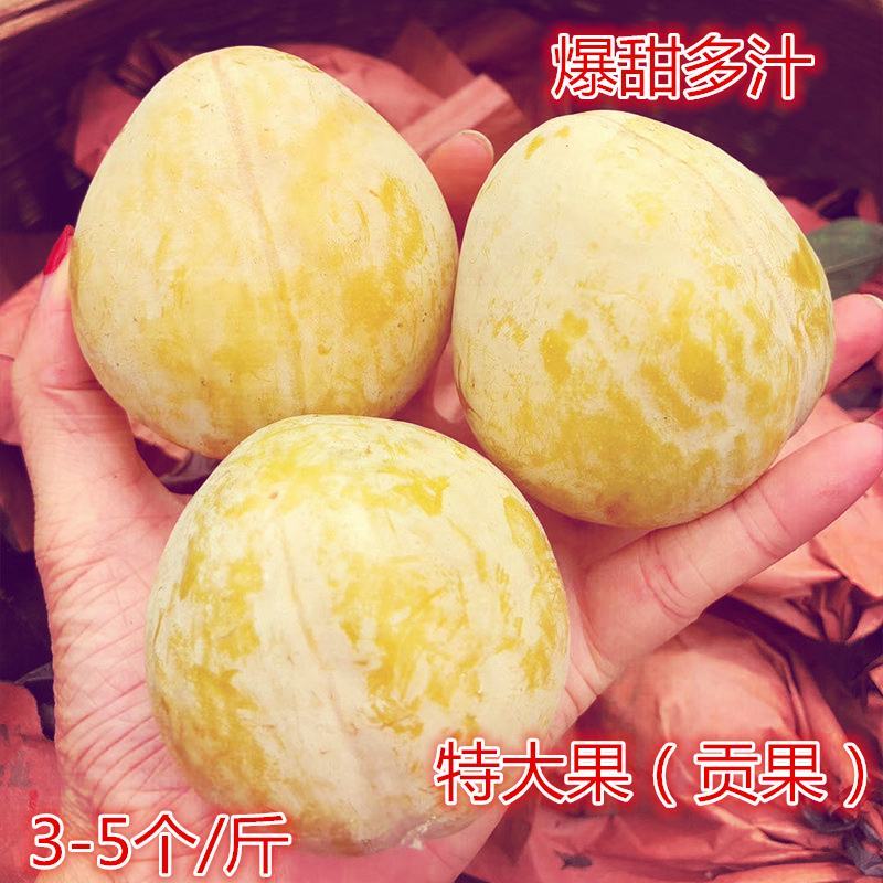 湖南特产汝城文明黄金奈李子新鲜水果整箱发货10斤装礼品箱